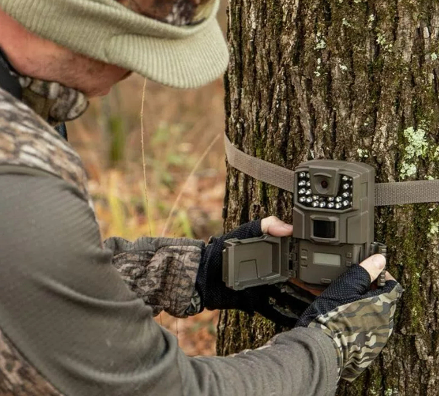 camaras para investigacion salvaje