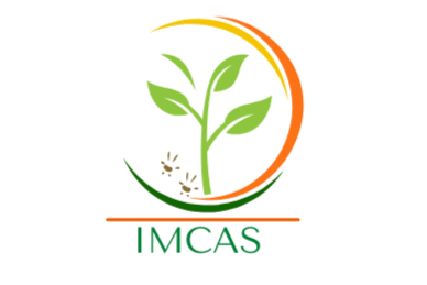 Imcas