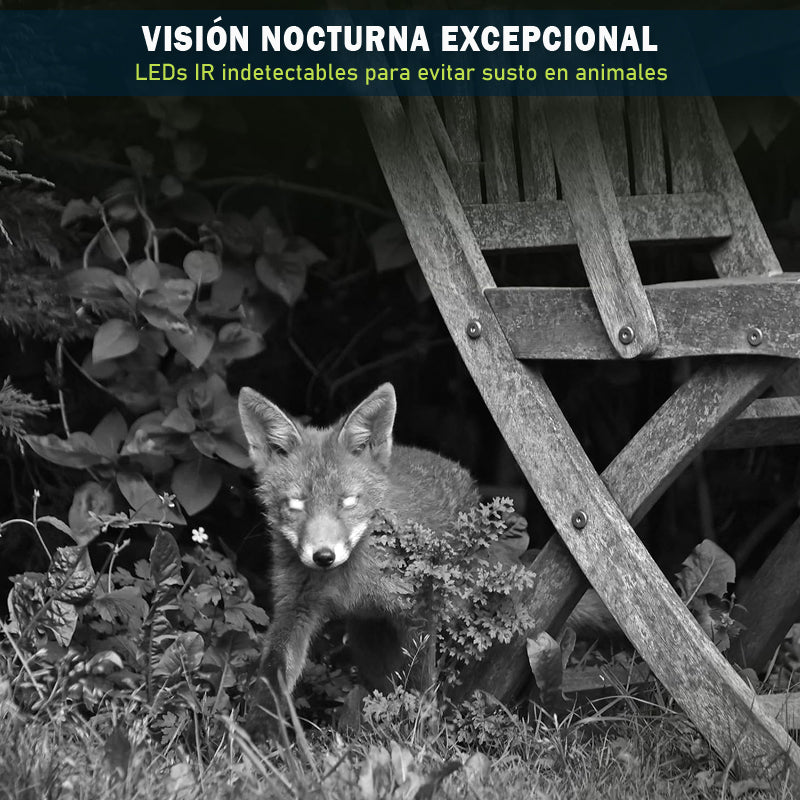 Cámara Trampa GardePro E8 2.0 Pro - 64MP - con Bateria recargable Litio 7800 mAh