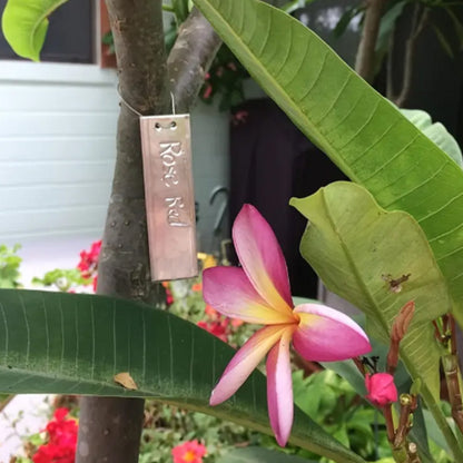 Pack 100 Etiquetas metálicas de Aluminio - 82X25 mm