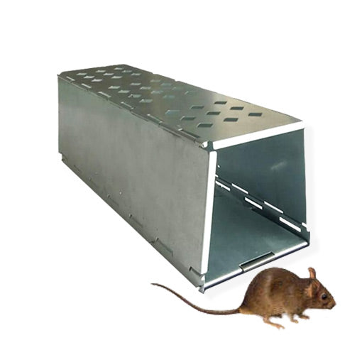 trampa para captura viva de ratones