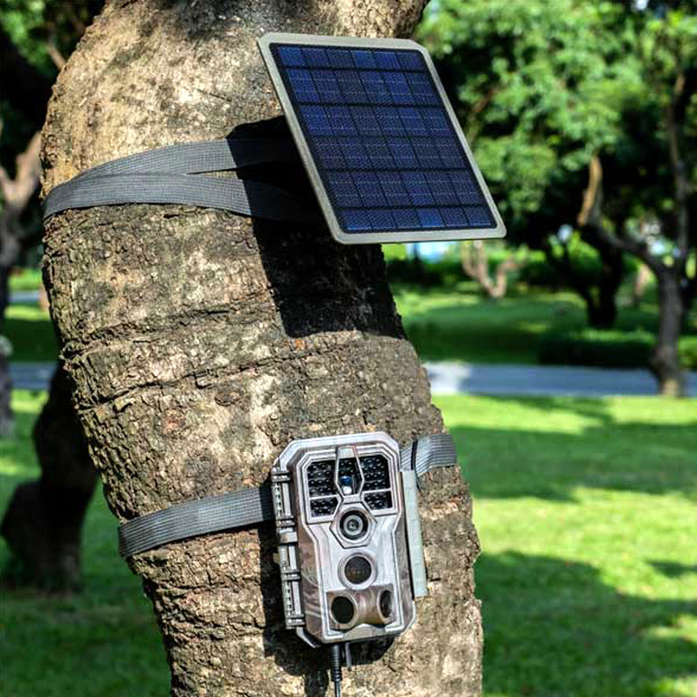 PANEL SOLAR PARA camaras de monitoreo vida silvestre