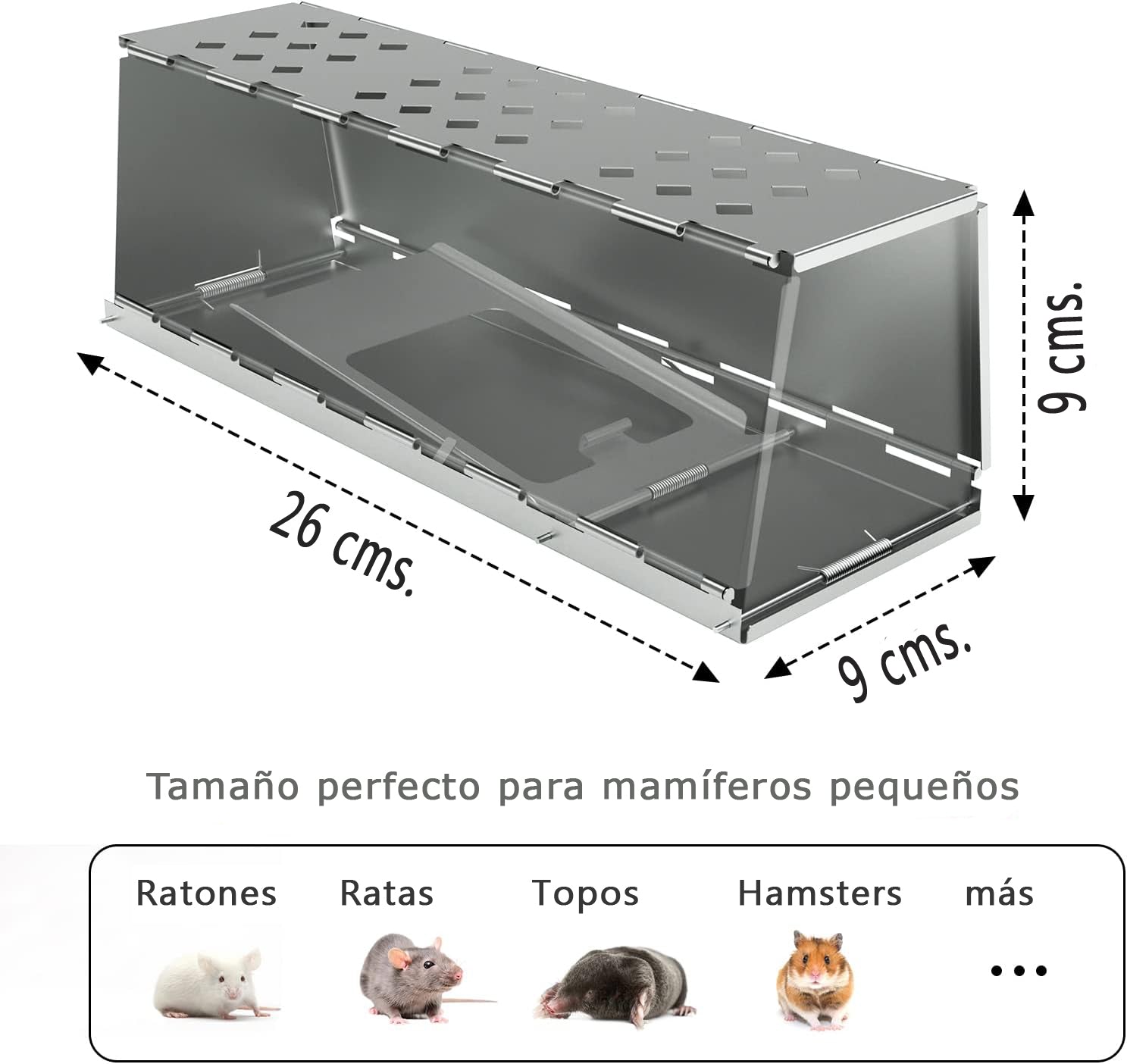 trampa ratas ratones roedores